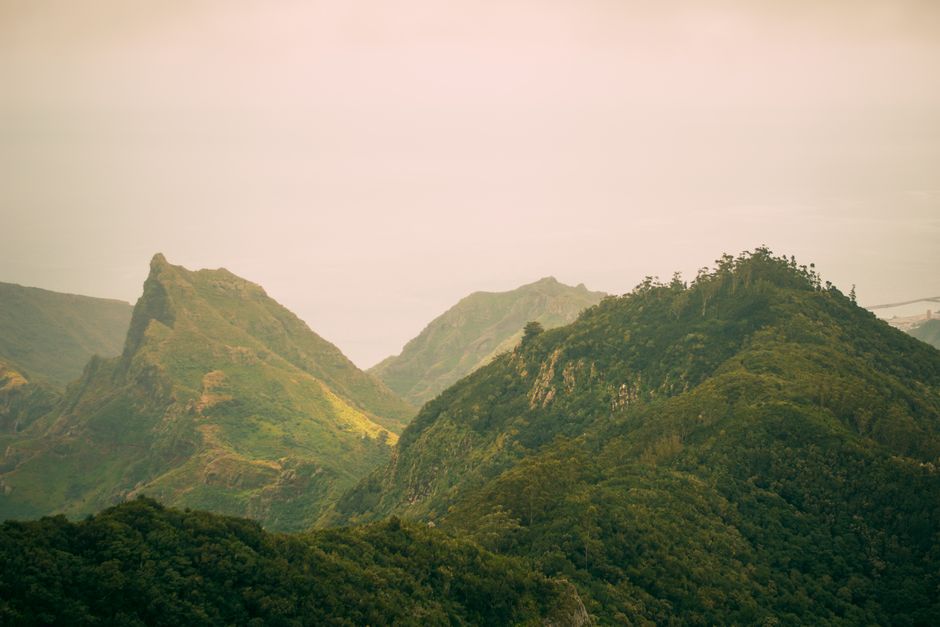 雨点砸在外卖箱上的声音，像有人用指甲轻敲铁皮。骑手把车停在巷口，掀开箱盖，里面还剩一份没送出去的米粉。汤已经凉了，油花凝成一层薄薄的膜。他蹲在屋檐下点烟，看着雨水顺着塑料布往下淌，滴进路边的积水里。积水倒映着一块褪色的招牌，上面写着“桂林米粉”，旁边画着象鼻山。他忽然想起自己也有过一只行李箱，轮子坏了一个，在火车站的地砖上拖出歪歪扭扭的轨迹。
